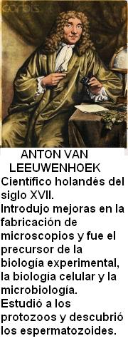 Leeuwenhoek.jpg