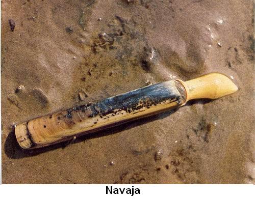 Navaja.jpg