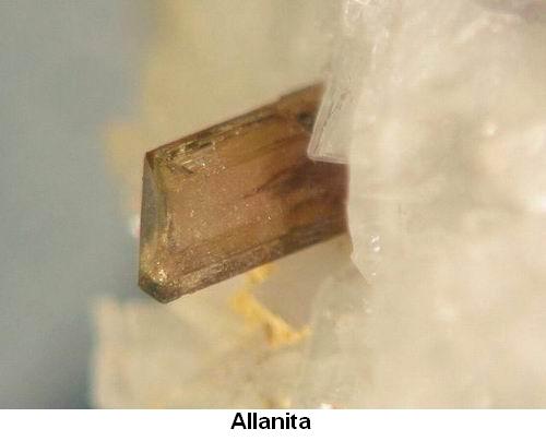 Allanita.jpg