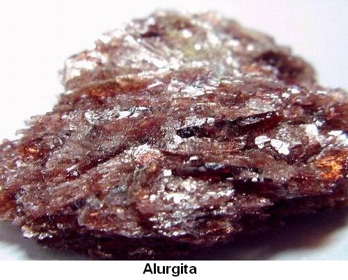 Alurgita.jpg