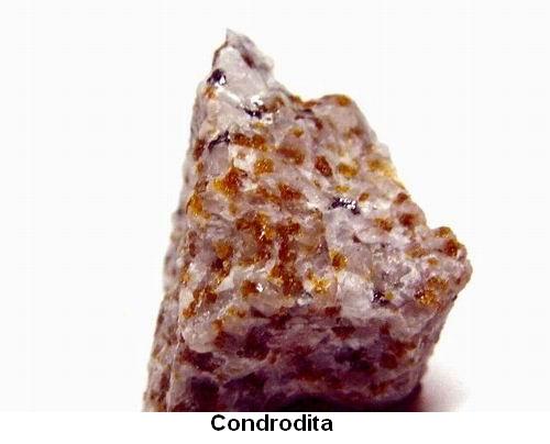 Condrodita.jpg