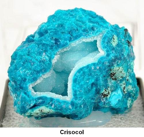 Crisocol.jpg