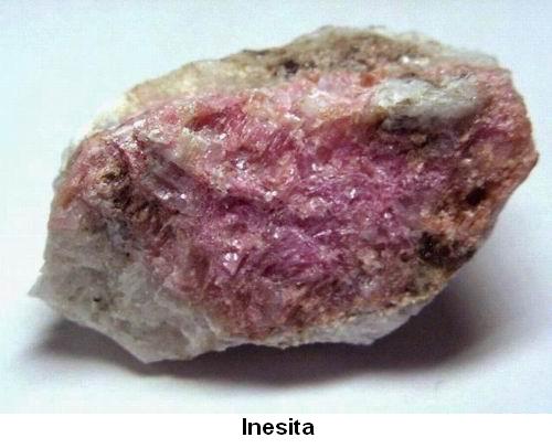 Inesita.jpg