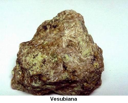 Vesubiana.jpg